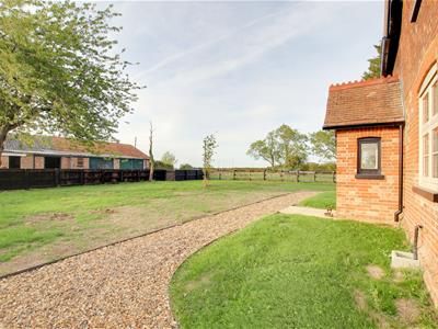 Picture 28